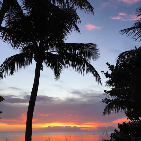 Meet your Posher, Alex - Picture 1 of 1